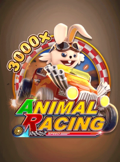 Live casino game show cover